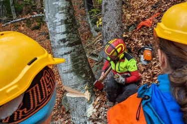 ibW Bildungszentrum Wald &amp; Nationaler Zukunftstag