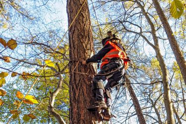 ibW Bildungszentrum Wald &amp; Nationaler Zukunftstag